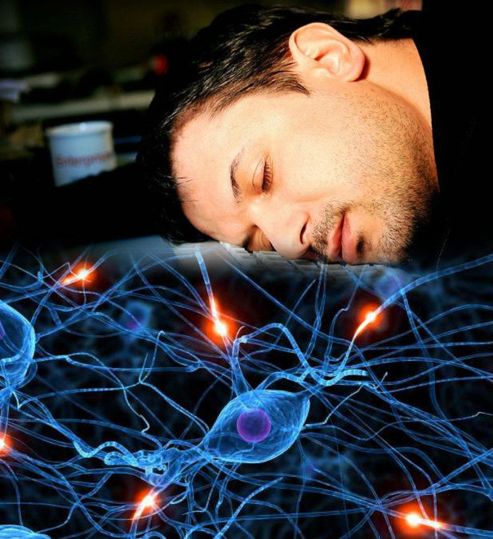 Giấc ngủ khoa học và chất lượng tùy thuộc và việc bạn lắng nghe cơ thể mình như thế nào