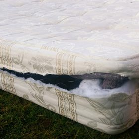 khi nao nen thay nem moi - cach khac phuc nem xau