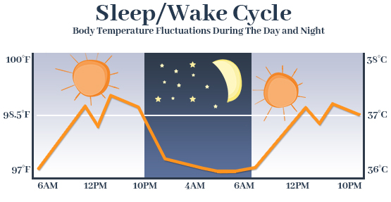 Thân nhiệt biến đổi theo chu kỳ của giấc ngủ