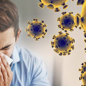 Chúng ta có thể chết vì thiếu ngủ?