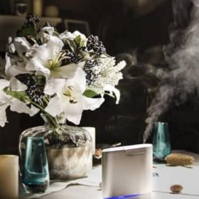 Những cách chữa ngủ ngáy tự nhiên đơn giản