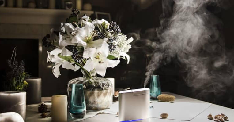 Những cách chữa ngủ ngáy tự nhiên đơn giản