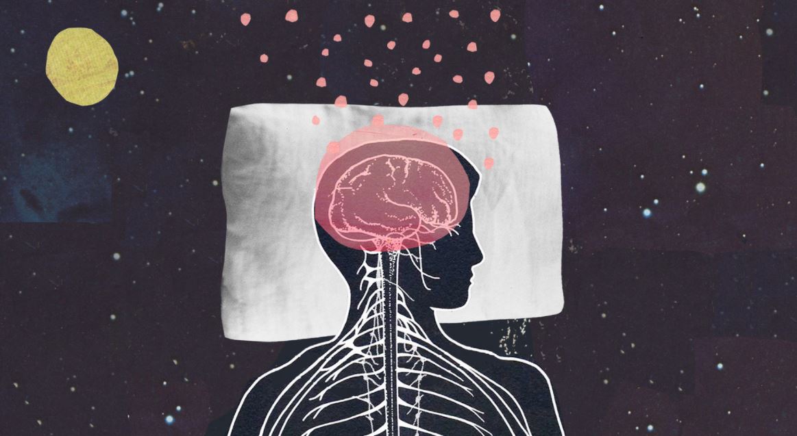 ảnh hưởng giấc ngủ và bộ não con người