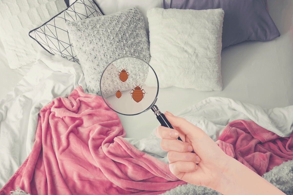 nệm bị nấm mốc