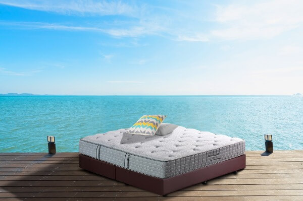 Đánh giá nệm bông ép sông Hồng