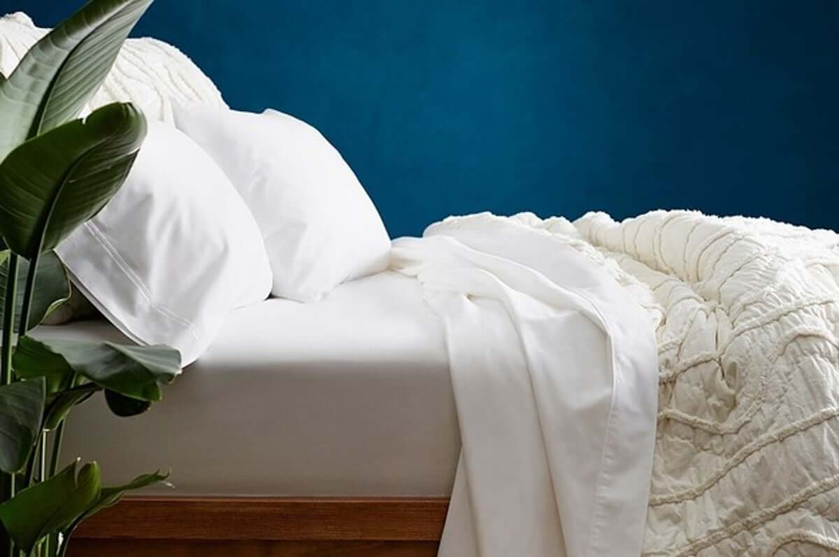 lựa chọn drap giường màu trơn