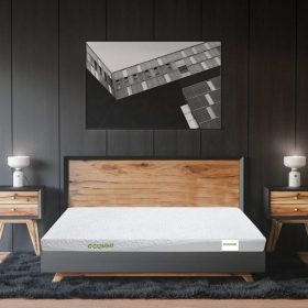 nệm cao su gummi có tốt