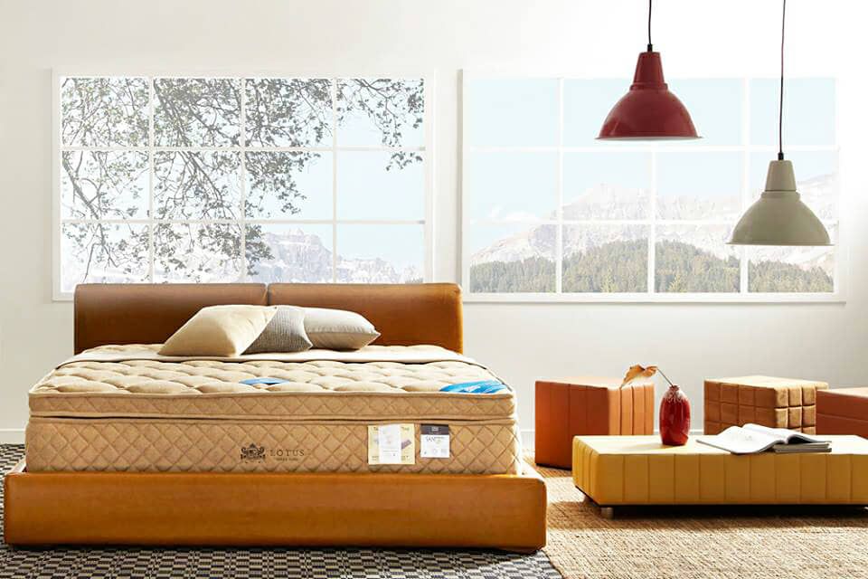 nệm lò xo dunlopillo với lò xo lotus