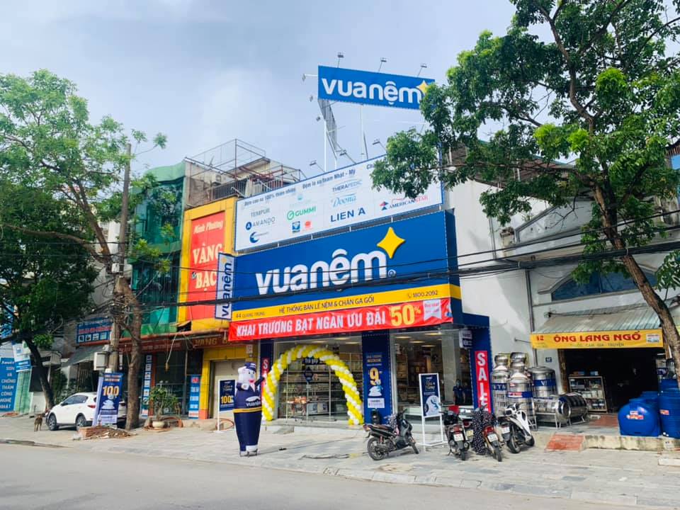 giới thiệu về vua nệm