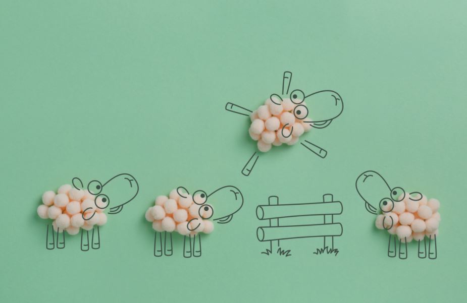 đếm cừu có khiến bạn ngủ nhanh hơn