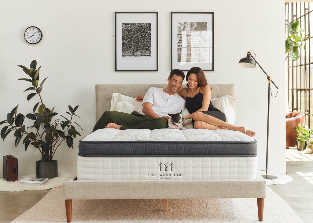 dị ứng nệm là gì