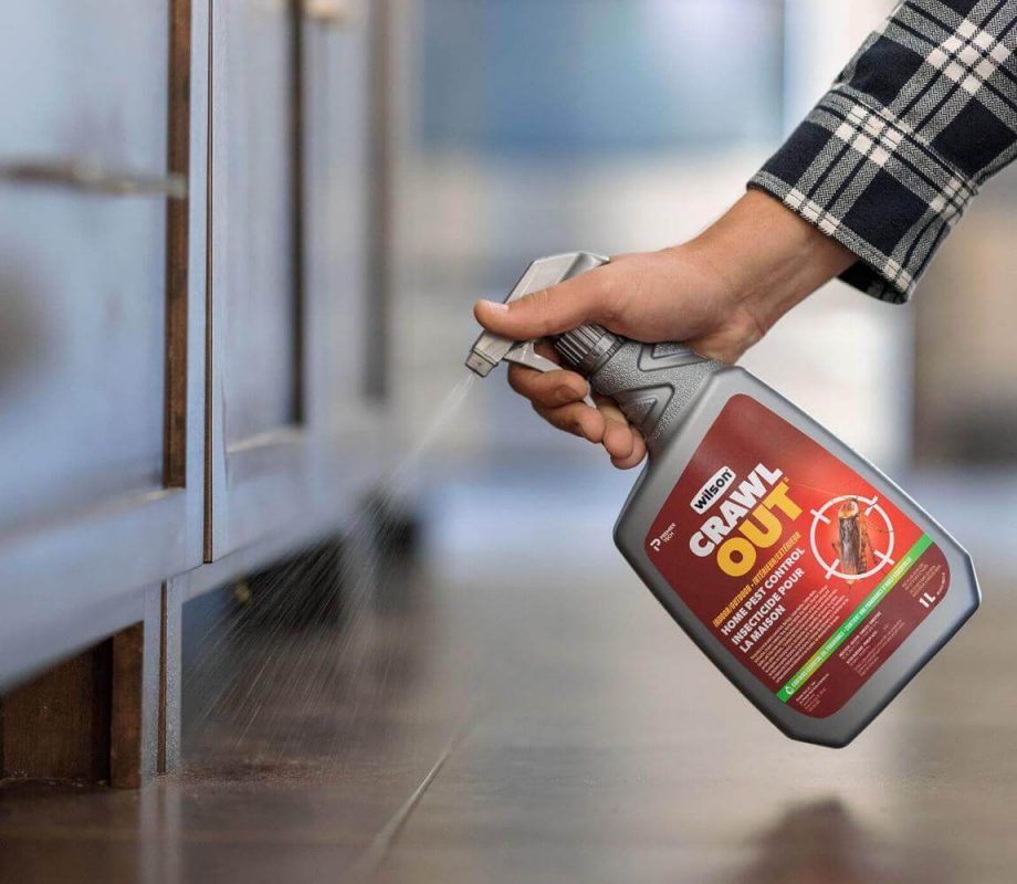 diệt côn trùng hiệu quả, an toàn