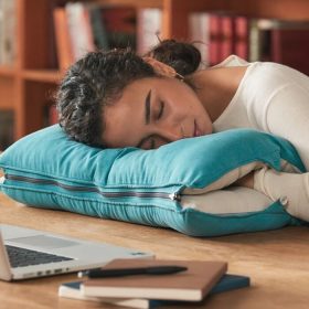 gối ngủ văn phòng hot