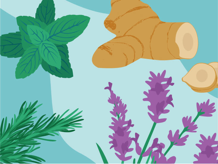 mẹo chữa mất ngủ dân gian