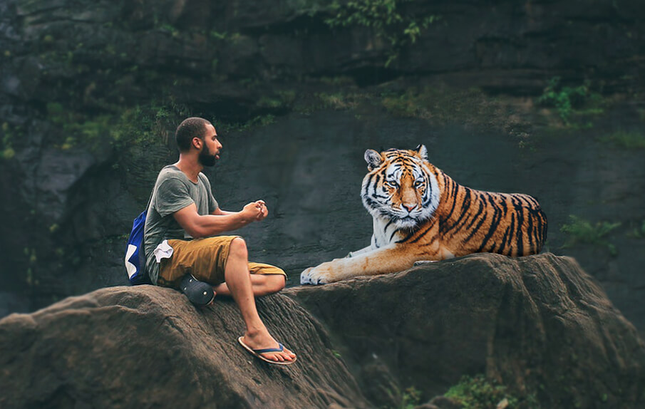 Nam Nữ tuổi Dần hợp màu gì và kỵ màu gì nhất