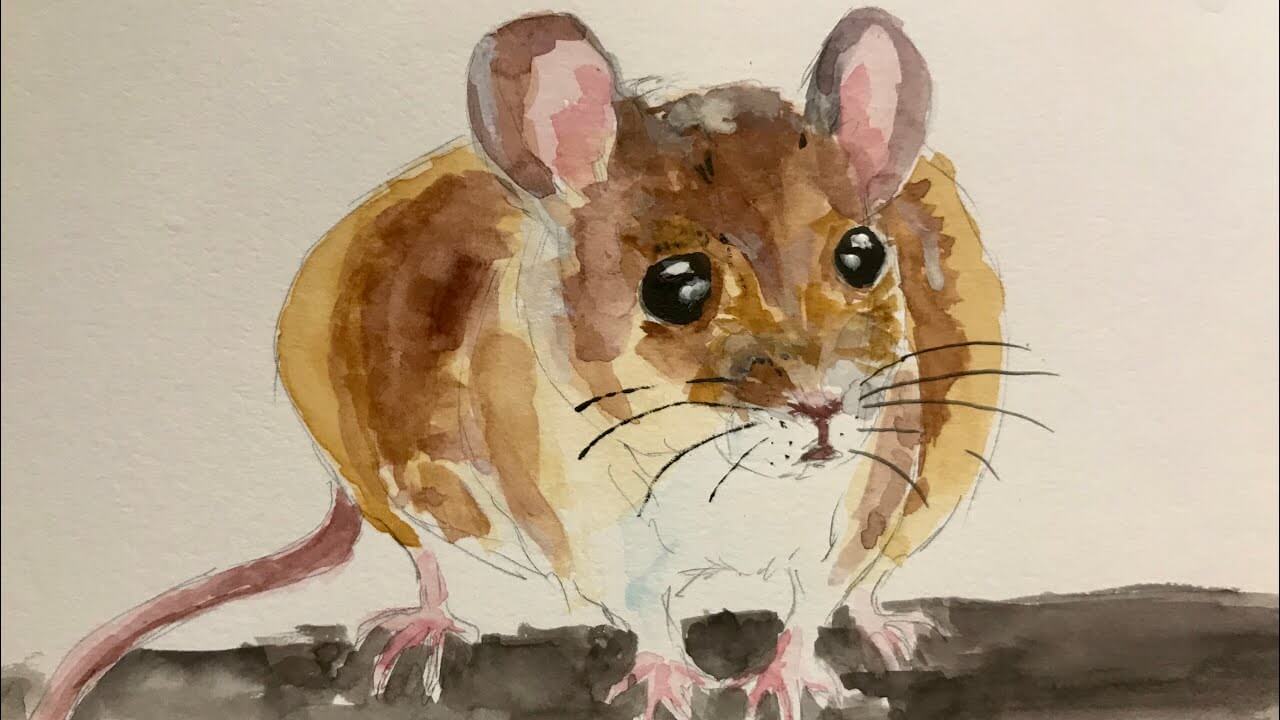 Tuổi Nhâm Tý hợp màu gì nhất ?