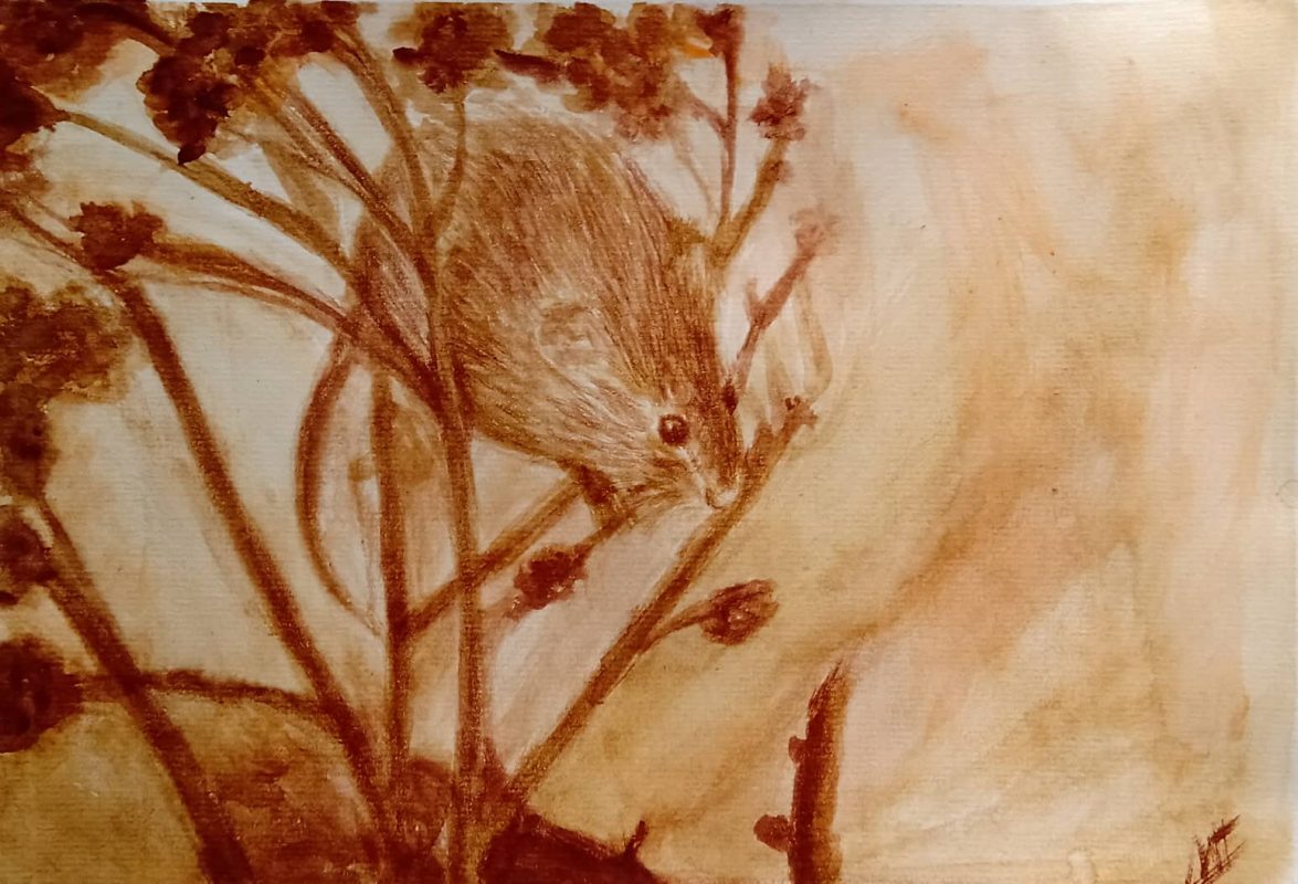 Tuổi Giáp Tý hợp màu gì và khắc màu gì nhất