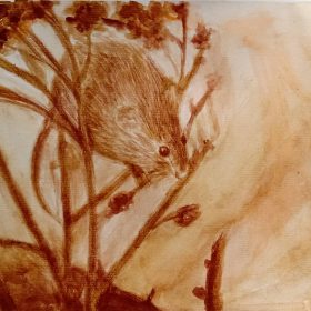 Tuổi Giáp Tý hợp màu gì và khắc màu gì nhất