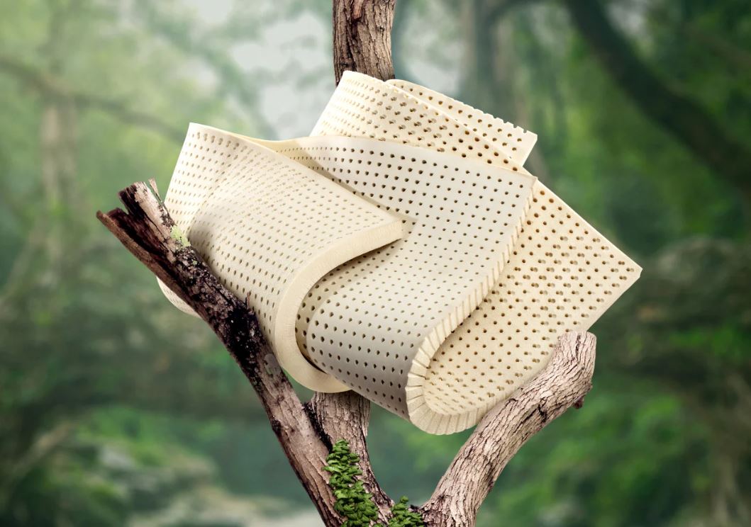 nệm cao su thiên nhiên