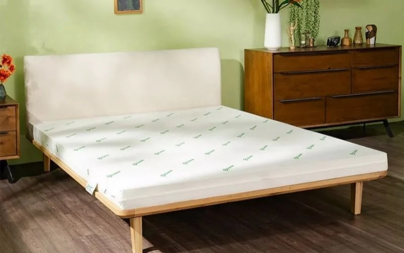 Sản phẩm đa dạng và phong phú từ nhiều thương hiệu nổi tiếng